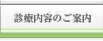 診療内容のご案内